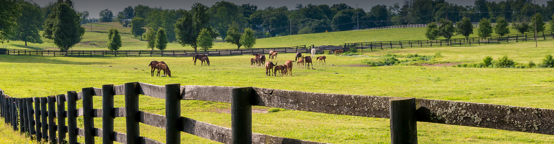 Location Mays Chapel Apartments